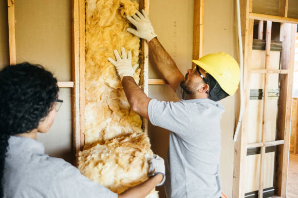 Best Garage Insulation Installation  in Sac City, IA
